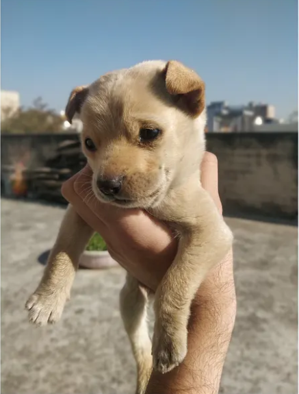 Minimalism in Digital Design