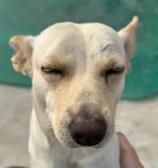 Lessons from Building My First Side Project